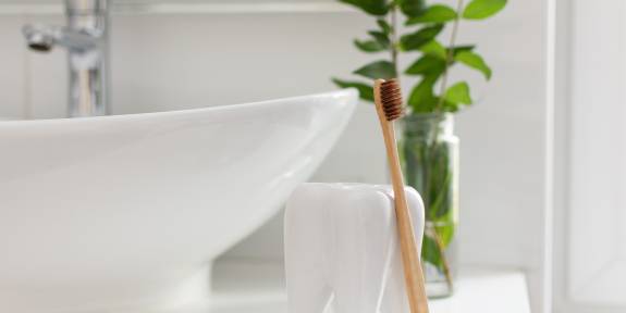 Modellzahn mit brauner Zahnbürste