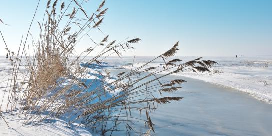 Gefrorener See bei blauem Himmel
